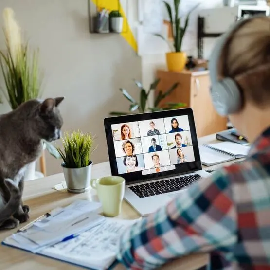 Online Business Mastermind Groups